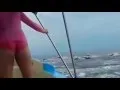 Enorme branco di delfini ….