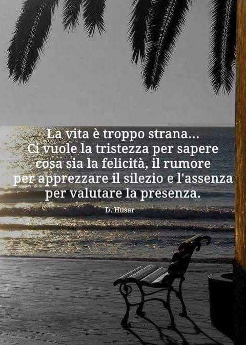 La vita è troppo strana. Ci vuole la tristezza per sapere cosa sia la felicità… il rumore per apprezzare il silenzio… e l’assenza per valutare la presenza.