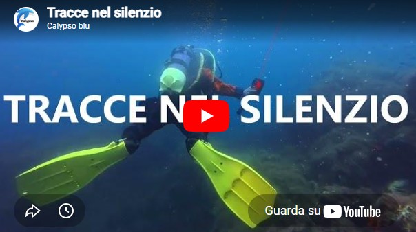 Tracce nel silenzio