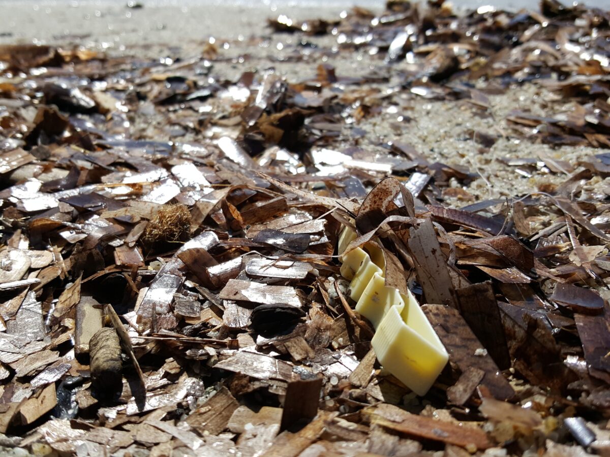 Emergenza plastiche: un primo dato sulle concentrazioni di nanoplastiche nell’Atlantico del Nord